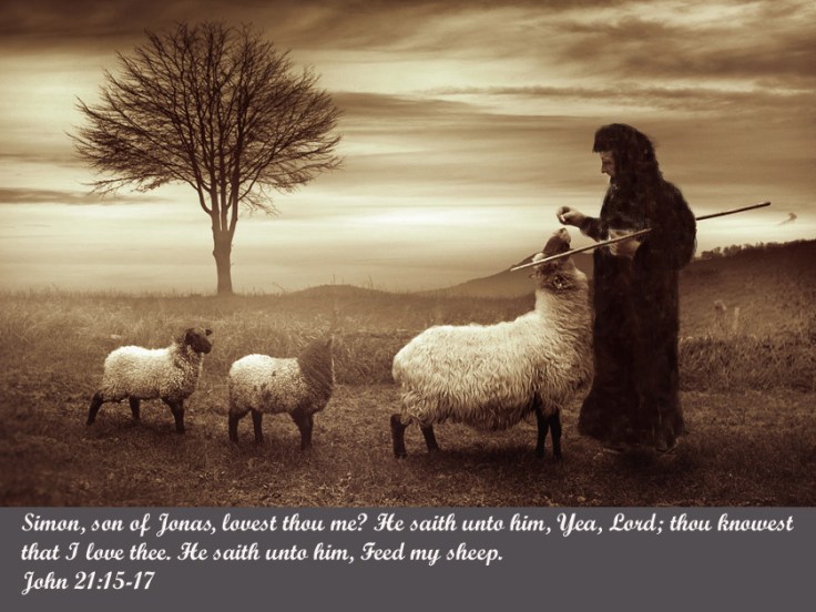 peter-feed-my-sheep