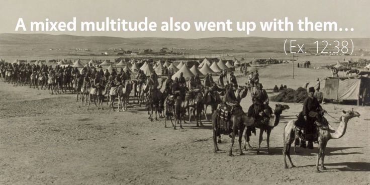 exodus-12-a-mixed-multitude-also-went-up-with-them